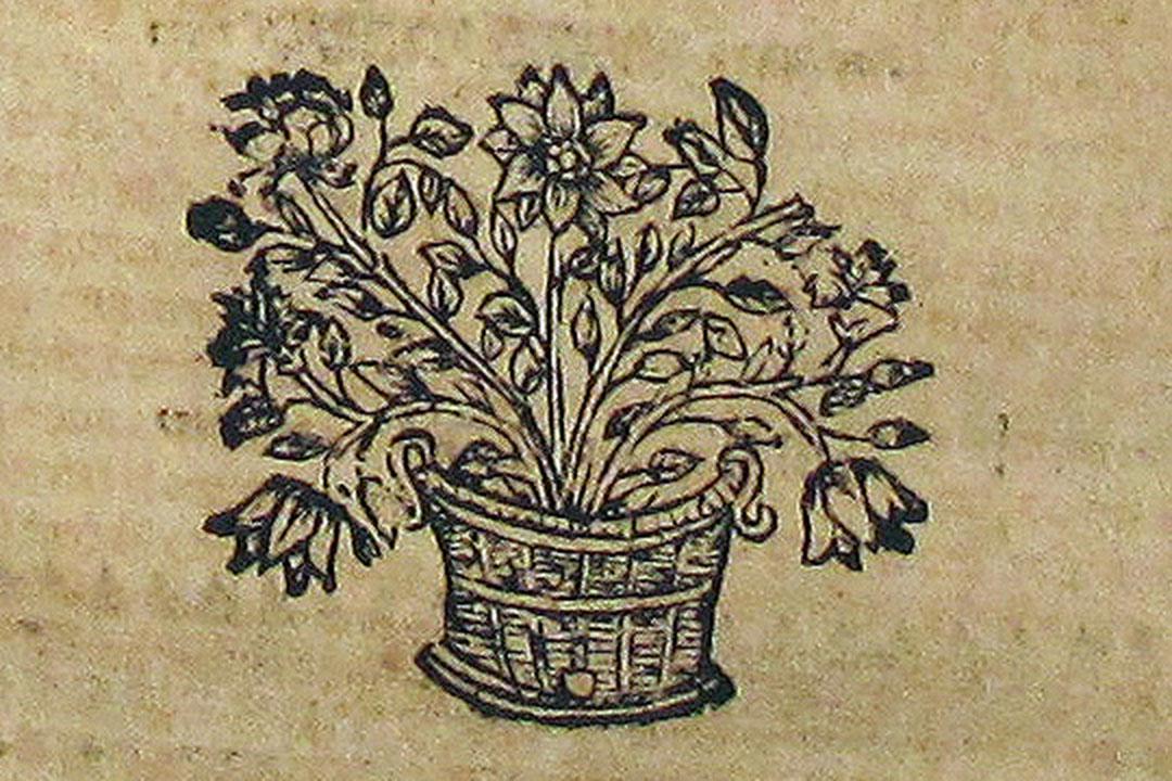 An illustration of flowers in a vase